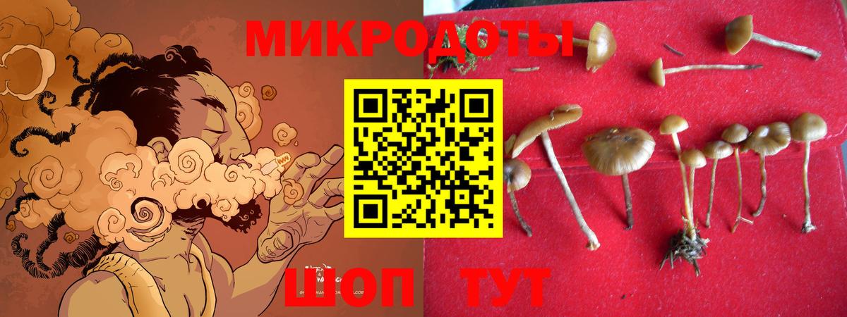 Псилоцибиновые грибы Cubensis  Псилоцибиновые грибы прущие грибы  Вход с VPN  Новоалтайск 
